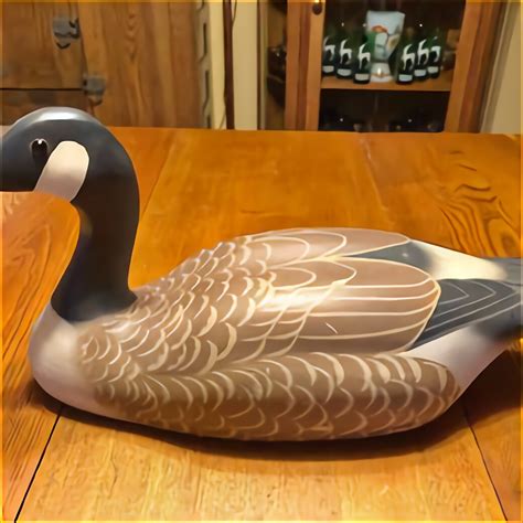 Used goose decoys for sale craigslist - We're currently making goose and deer decoys and have most products in stock and ready to ship! Each product page will tell you if the item is in stock, but even if the product is "backordered" our lead times are only 0-2 weeks currently. We will keep these pages updated to reflect our current lead times on a weekly basis.
